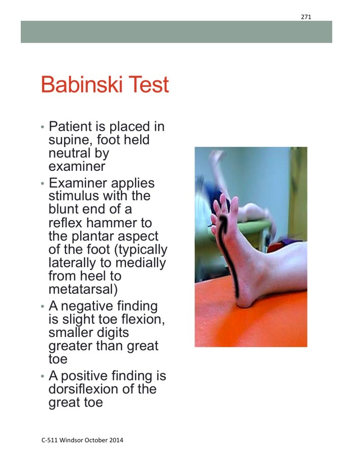 Babinksi Test & C-516 Cervical Spine I&nbsp;Course
